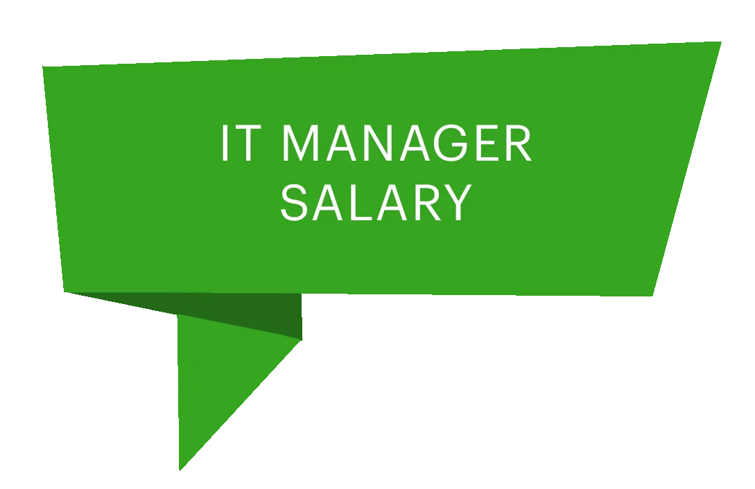 IT Managers Salary in the US