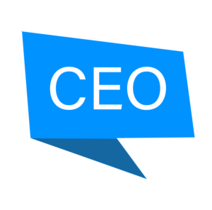 What is the average CEO salary by company size? 1 CEO Salary
