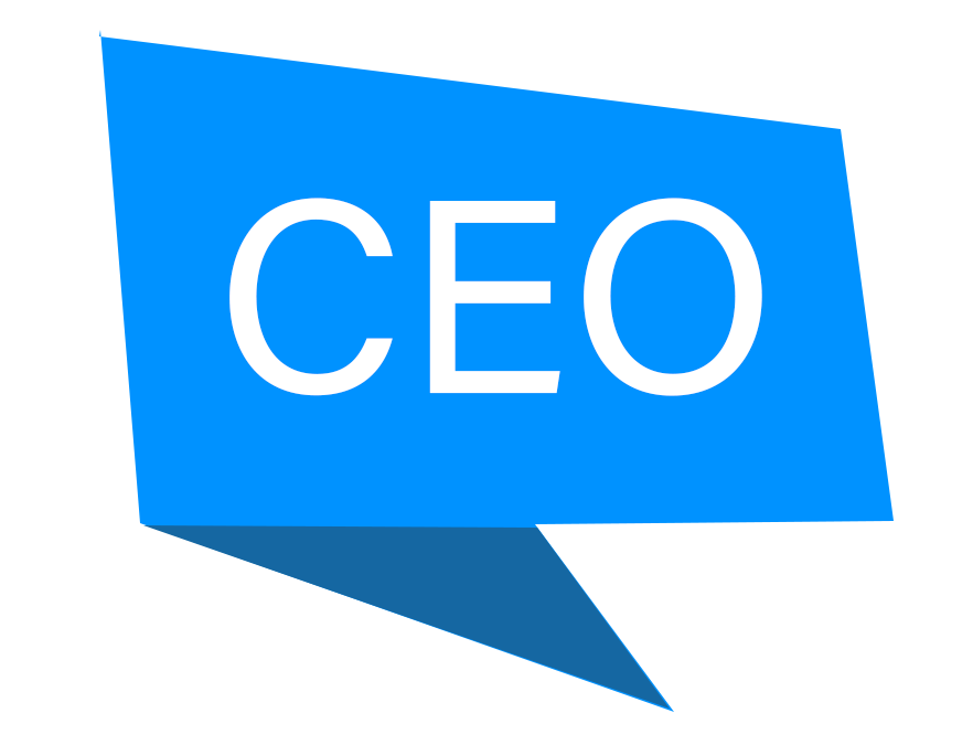 What is the average CEO salary by company size?